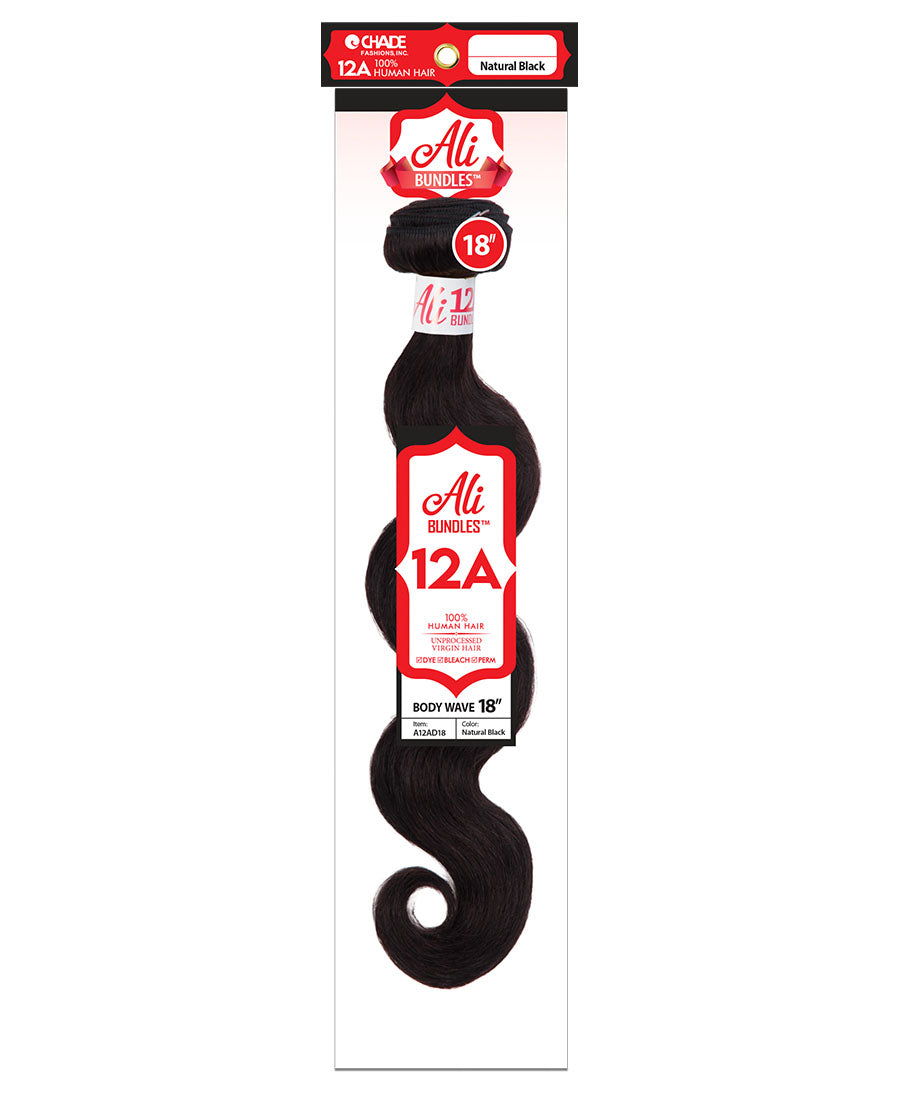 Brazilian Virgin Remi Single Bundle - Body Wave 12A