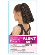 BLUNT PONY 04